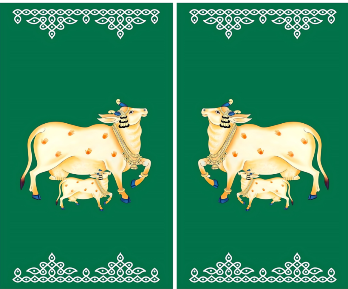 Backdrop - Pichuwai Cow - DG1513