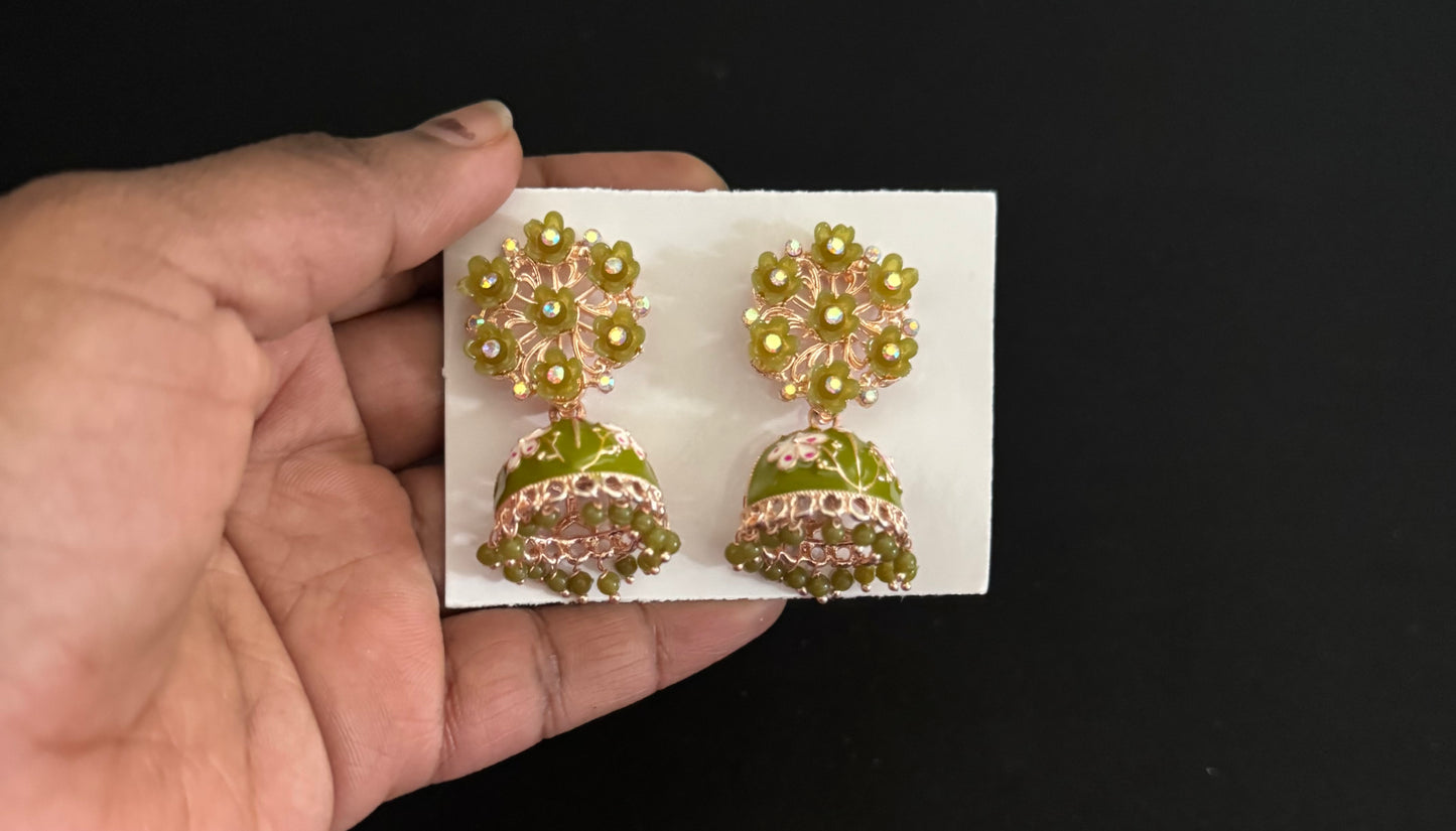 Fancy Earrings - DG12891