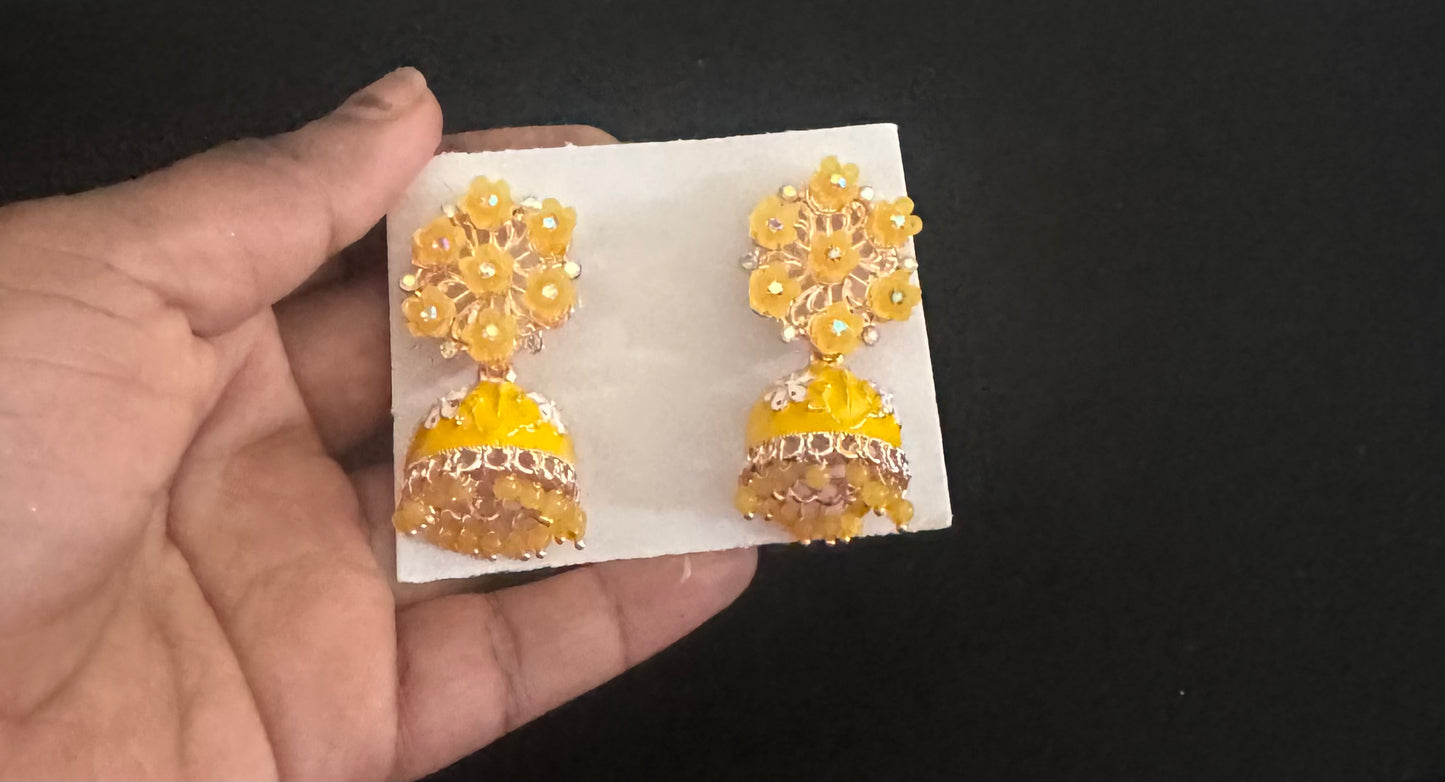 Fancy Earrings - DG12891