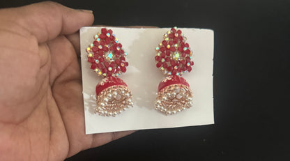 Fancy Earrings